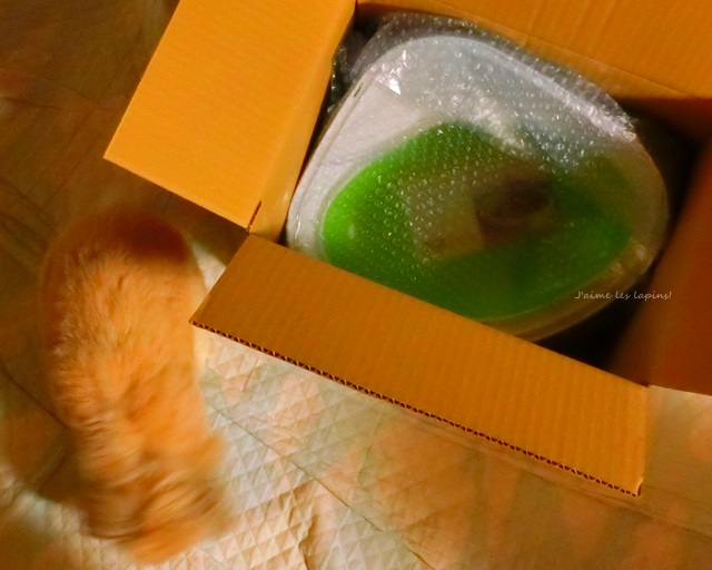 ベルギーのおしゃれなペット用トイレ コンチャ