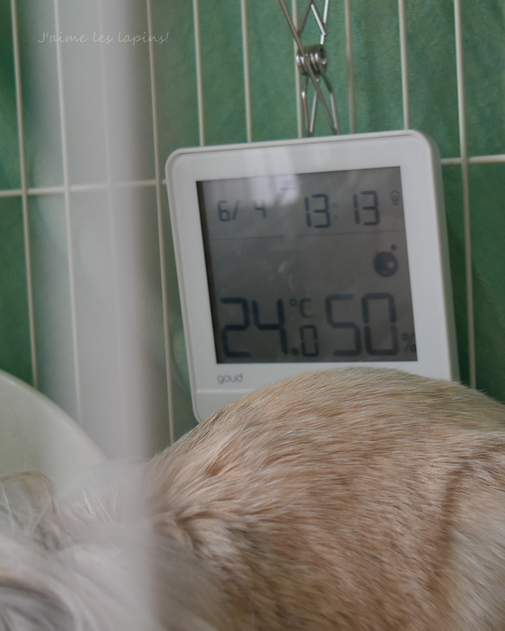 うさぎのケージ内の温湿度計