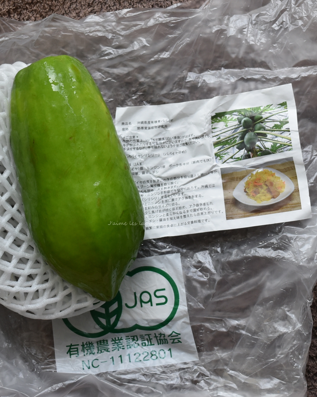 グリーンパパイヤ４〜５個　約２ｋ 無農薬栽培 野菜用