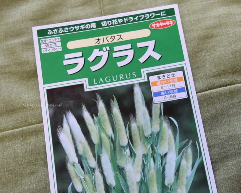 ラグラスバニーテール約5@本も！送料込おまとめ割引ございます