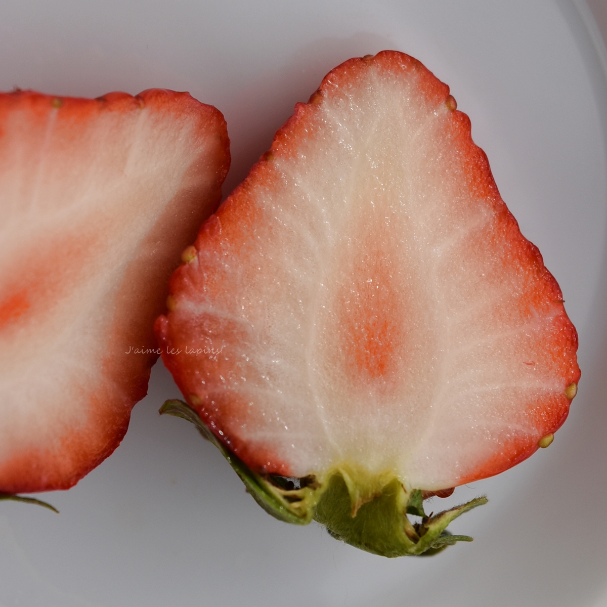 イチゴ「恋みのり」の断面