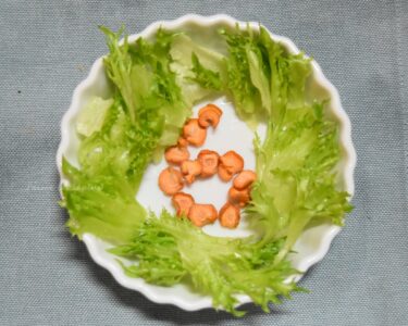 生野菜のレタスと乾燥ニンジン