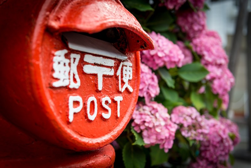 郵便ポストと紫陽花