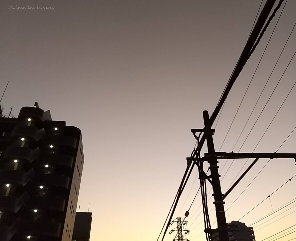 東京の冬の夕暮れ